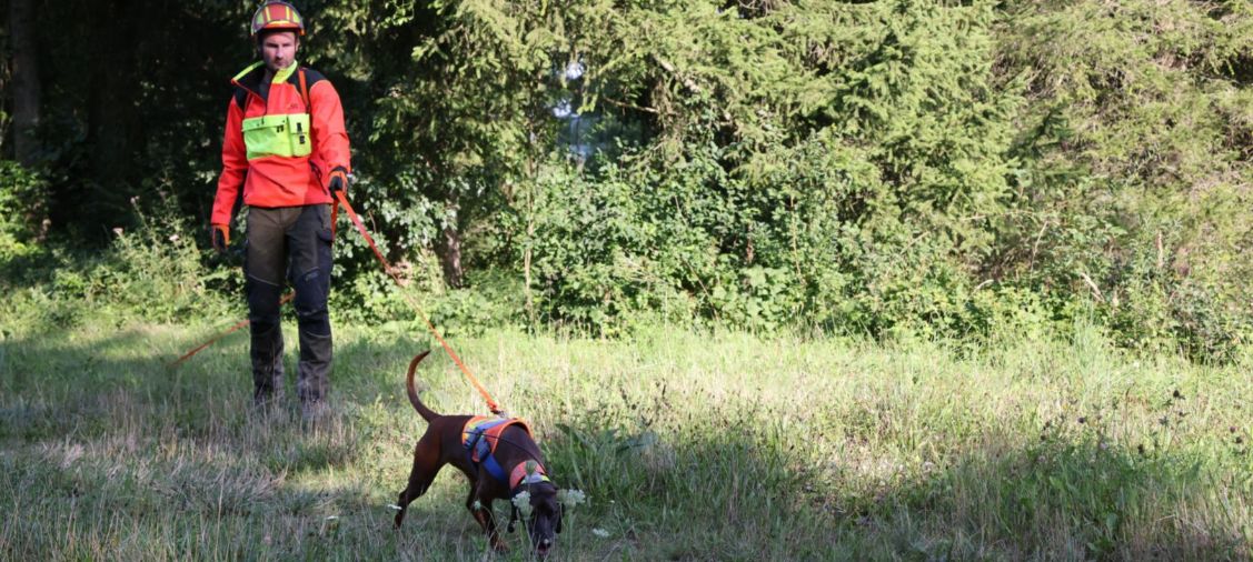 Gespann der Nachsuchenstation Isarland e.V. bei der Nachsuche